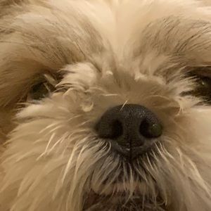 Meet your Posher, Edward